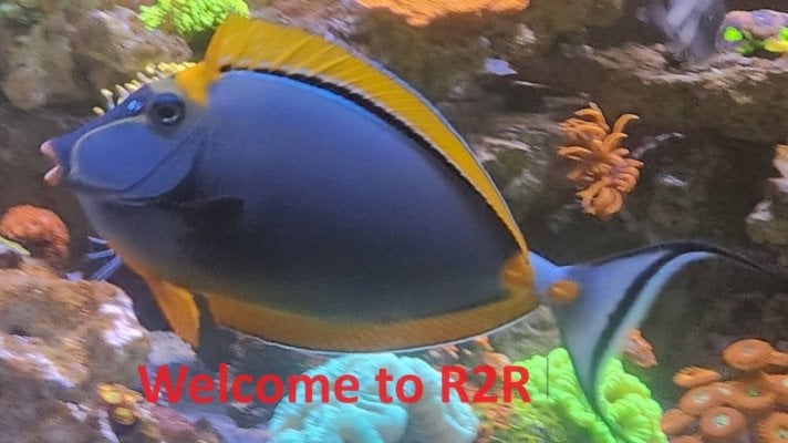 welcome.jpg