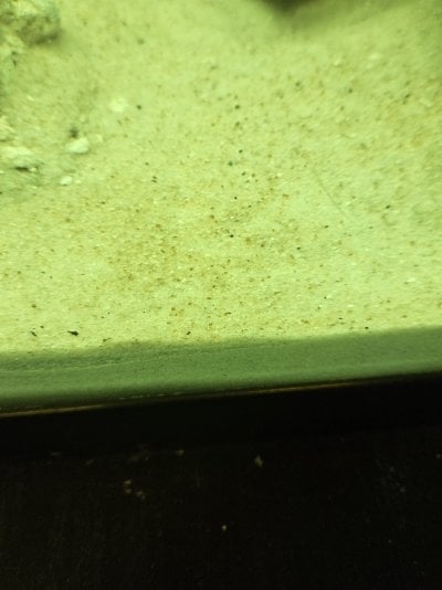 Red Sea Sand.jpg