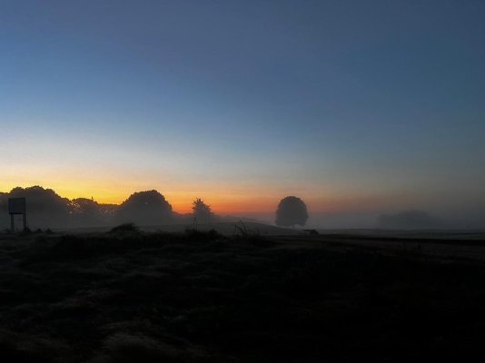 Fog over golf course.jpeg