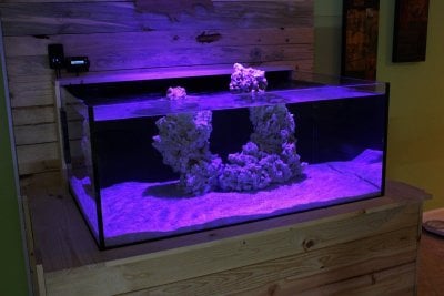 aquascape6.jpg