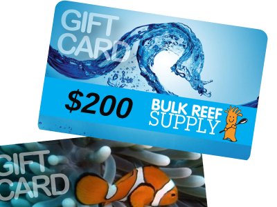 Giveaway: BRS Black Friday/Cyber Monday $200 Gift Certificate