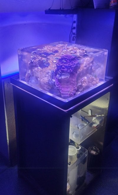 Aquarium.jpg