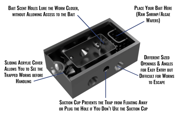 Bristle Worm Trap GUIDE3.png