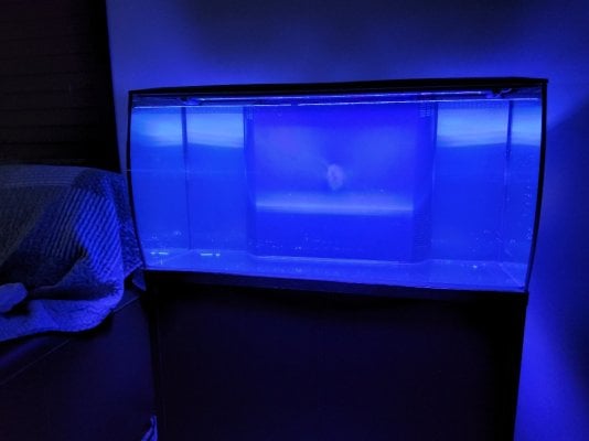 Fluval Flex 32.5.jpg