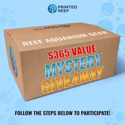 Reefer's-$365-Mystery-Box-Giveaway.jpg