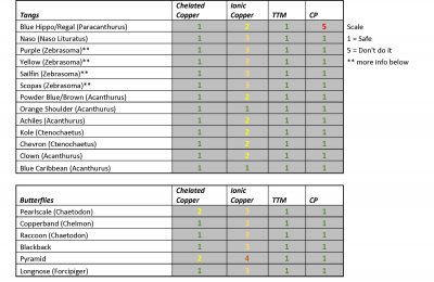 Fish and Treatment Table part1.jpg