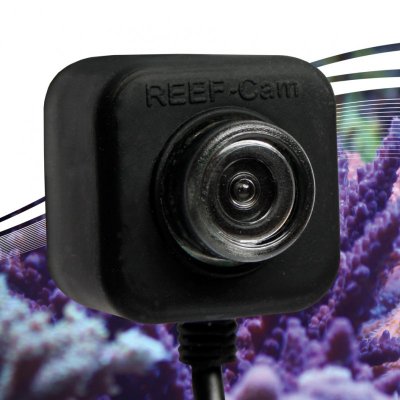 The NEW IceCap REEF-Cam is HD and goes underwater!