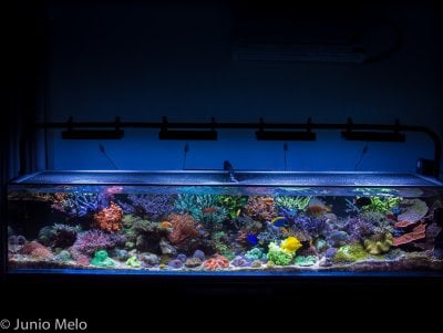 fts5.jpg