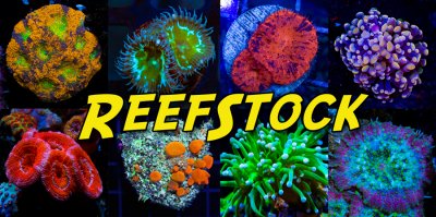 reefstock-frag-tiles.jpg