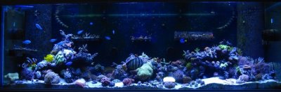 fts 1 aug 10.jpg