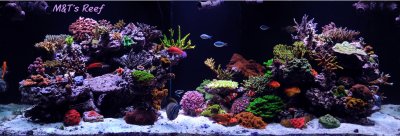 fts - dec 2011.jpg