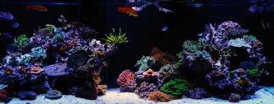 fts - oct 2011.jpg