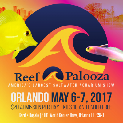 ReefAPalooza Orlando Getaway! WIN airfare, hotel & tickets for 2 to RAP Orlando 2017!