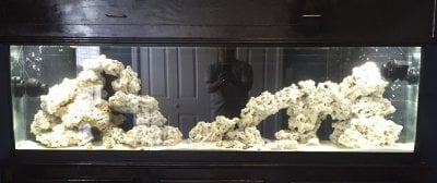 Cycling an Aquarium