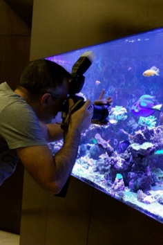 Your Guide to Aquarium Photography #1 - Getting the Basics