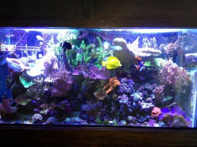 fts-seased2.jpg