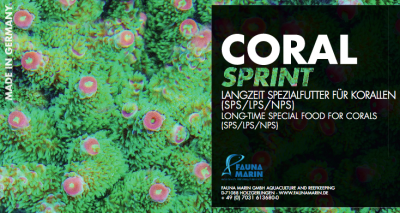 Coral Sprint label.png