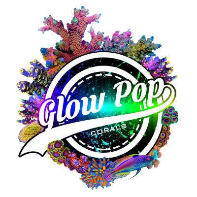 glow pop corals logo 2.png