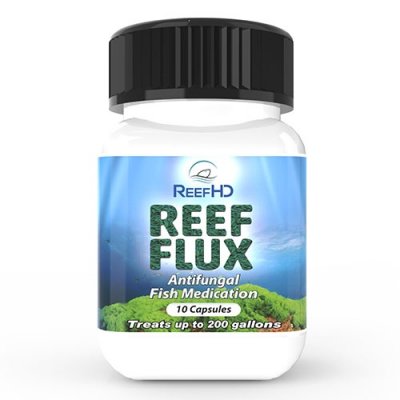 ReefHD Reef Flux.jpg