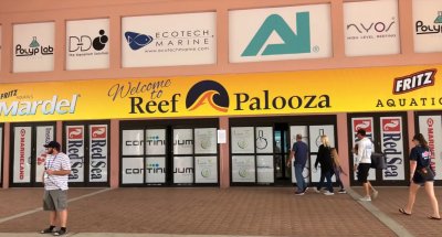 Reefapalooza Orlando 2018 Complete Walk Through