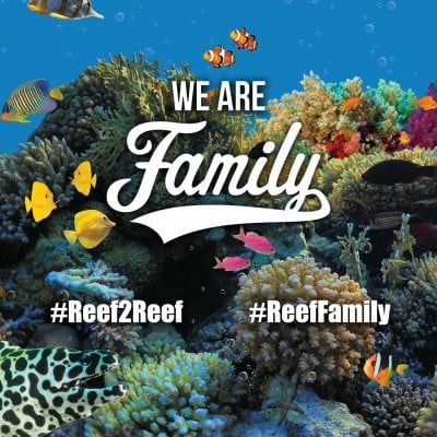 Not a Forum but a Family! #ReefFamily Giveaway