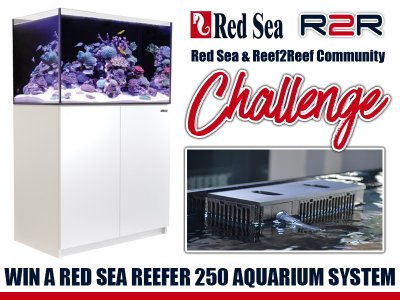 The R2R Community Red Sea Reefer 250 Challenge! WIN A $1500 System!