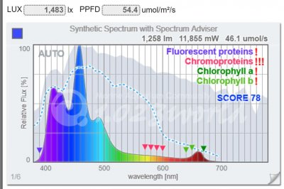 1425_spectrum.JPG