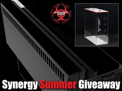 The Synergy Reef Summer Giveaway (3 Winners)