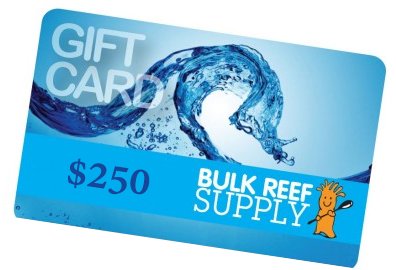 The Reef2Reef Bulk Reef Supply BOX Giveaway!