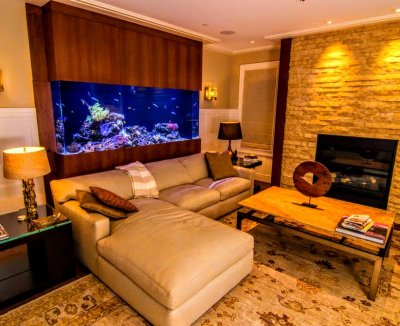 Equipment : Choosing Your Display Aquarium