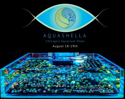 Introducing Aquashella! An Aquarium Festival Like None You've Ever Seen!