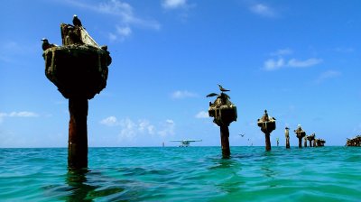 Coal dock pilings P7090165R2.jpg