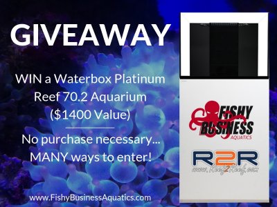 The FishyBusinessAquatics.com Waterbox Giveaway!