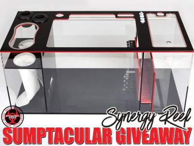 Synergy Custom Sumptacular Giveaway