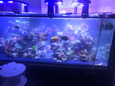 Planning and Transitioning to 500 Gallons