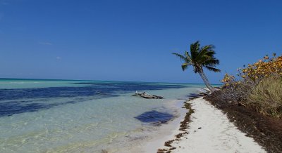 A Day in the Life of a Beachcomber