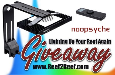 ** Noopsyche LIGHTING UP YOUR REEF AGAIN Giveaway! 3 WINNERS!! **