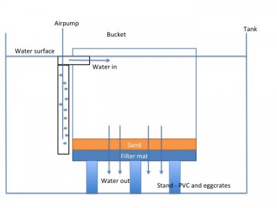 r2rLarvae bucket 1.jpg