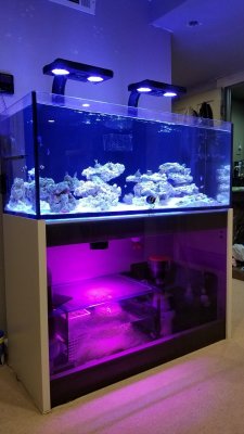 Plastic for the Reef Aquarium, Part 1