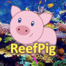 ReefPig_UK