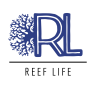 reeflife92