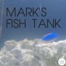 Mark's fish tank