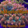 LeMasterReef