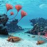 Prehistoric Reefs