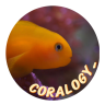 Coralogy_