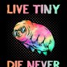 LiveTinyDieNever99