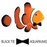 BlackTieAquariums