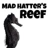 MadHatter'sReef