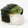 SashimiTurtle