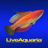 LiveAquaria